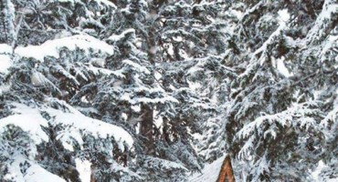 Katarina Zovko Ištuk