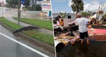 Poslije Irme, nova opasnost na Floridi: Aligatori i zmije slobodno šetaju ulicama