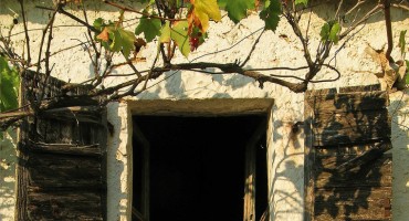 anita martinac, knjiga