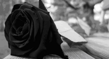 Godinama pohodi sprovode, ne iz poštovanja prema pokojnicima, već zato da se dobro najede!