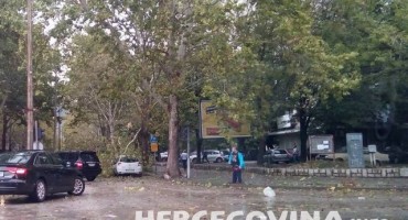 Jak vjetar rušio drveća po Mostaru, pričinjena velika materijalna šteta