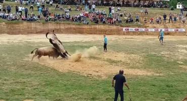 Bika prvaka Medonju nisam htio prodati ni za 20.000 KM