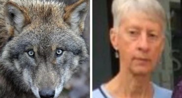 grčka, Velika Britanija, vukovi