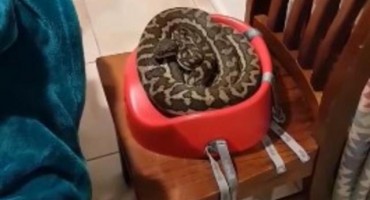 Sjeli su da jedu, a onda su ugledali prizor zbog kog su se zaledili