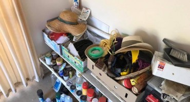 zmija, fotografija, Australija