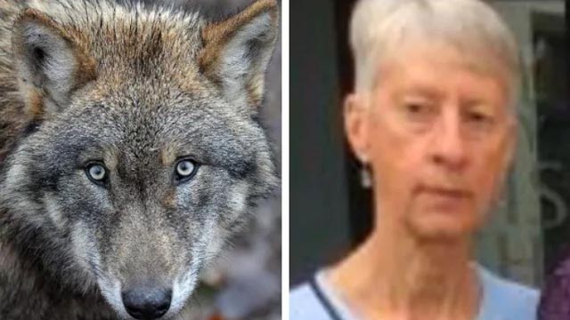 Šok u Grčkoj: Nestalu Britanku pojeli vukovi