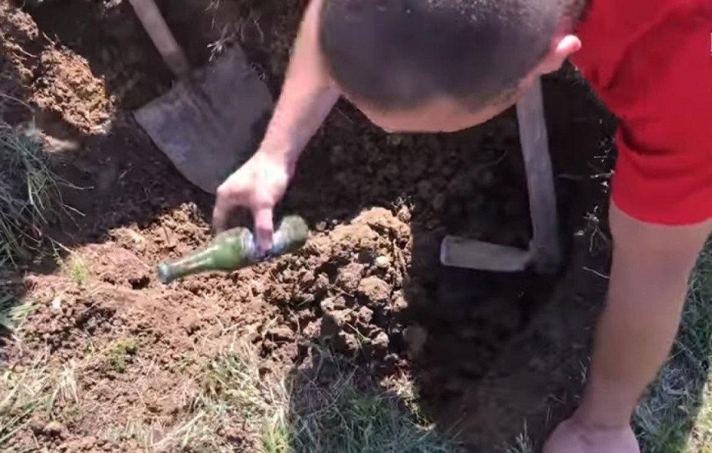 Urnebesno / Hit na internetu: Što rodi kada Bosanac posadi pivo