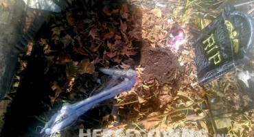 Poganski blagdan koji polako preuzima cijela Europa