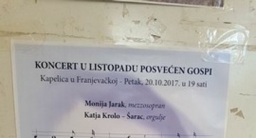 koncert, Ana Rita Puljić