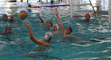 Makarska, mladi galeb