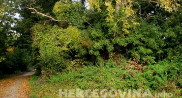 U BiH danas hladno i oblačno