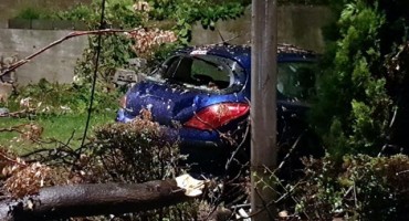 Jak vjetar čupao drveća, oštećen automobil, elektroinstalacija, ...