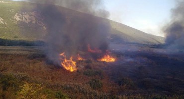 HUTOVO BLATO Izgorjela veća površina, a požar ugašen po nepristupačnom terenu