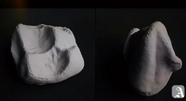 U Njemačkoj pronađeni fosili stari 10 milijuna godina