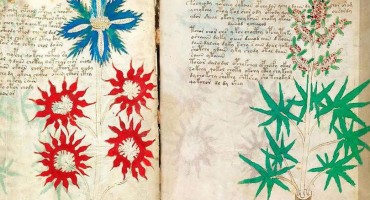 Veliki misterij! Knjiga pisana nepoznatim jezikom koju nitko ne može dešifrirati