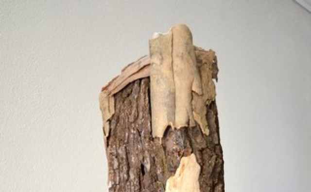 Boris Orenčuk, Izložba