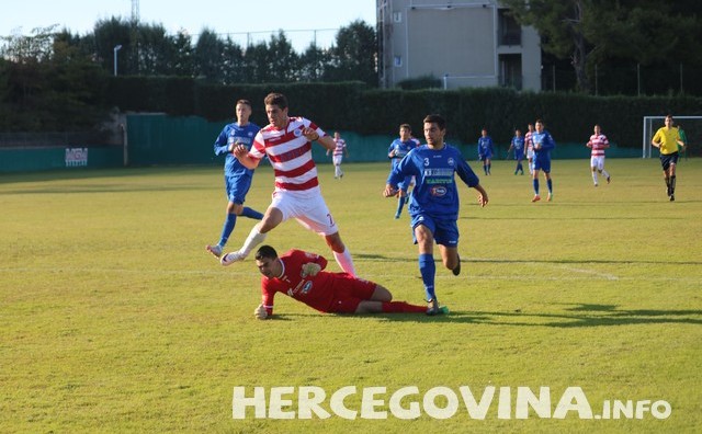 zrinjski gošk