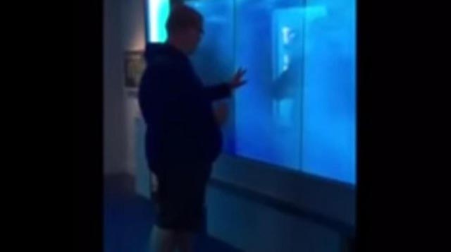 Mladić 'kucao' morskom psu u akvariju, ali nije očekivao da će se ovo dogoditi