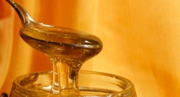 III. Dani hercegovačkog meda, Mostar-2017.