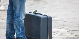 Odlazak moga malenog