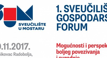 Sveučilište Mostar, Sveučilište Mostar, odgoda