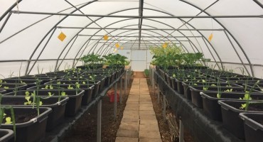 Mostar: Održana prva promocija socijalnog poduzeća VedriMo 