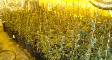 Seosko imanje pretvorili u laboratoriju za drogu