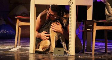 Crnohumorna drama 'Smeće', Ive Krešića