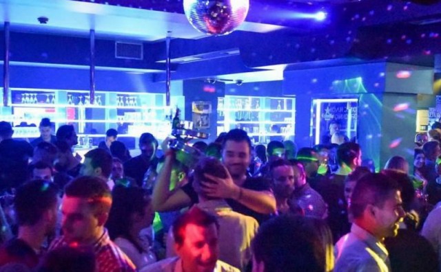 party, Ana Rita Puljić