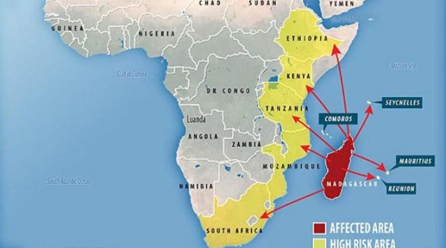 Širi se smrtonosna kuga iz Afrike: Zaraženi umiru u roku od 48 sati!