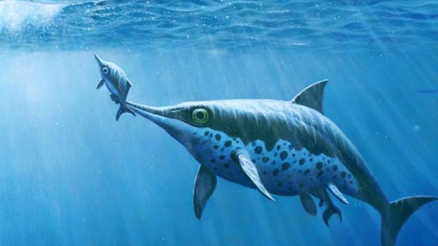 U Indiji pronađen morski monstrum star 150 milijuna godina