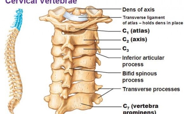  Neuralgija glosofaringealnog živca 