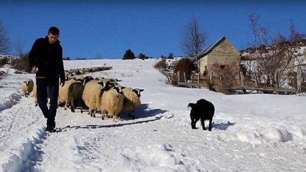 Oni su izabrali život na rodnoj grudi