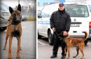 Granična policije BiH, službeni pas Maverick, Leo Zovko