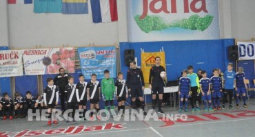 Stadion HŠK Zrinjski, Plemići