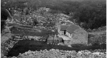 Katarina Zovko Ištuk