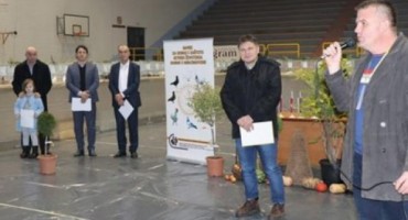 Ljubuški: Svečano priznat golub s područja Hercegovine pod nazivom Hercegovačko prugasti okretač