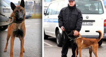 Granična policija u mostarskoj zračnoj luci dobila prvog ovakvog psa u BiH 