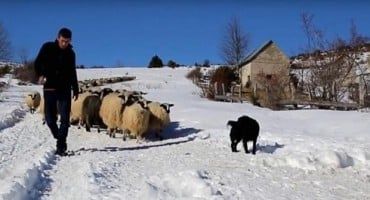 održiv povratak u BiH, povratak u domovinu, povratak