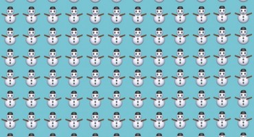 snješko bjelić, fotografija, genijalac