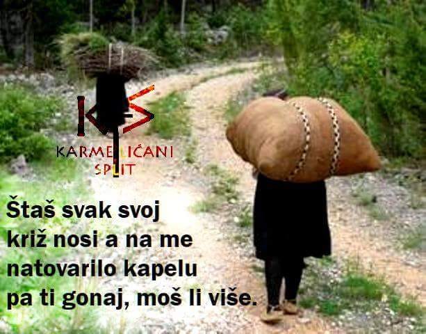 Anđina zvizda