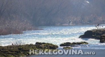 U Ljubuškom radionica o očuvanju slivova u Hercegovini