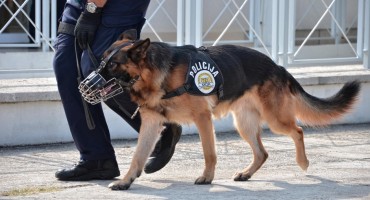 Amerikanac uhićen nakon što je ugrizao policijskog psa