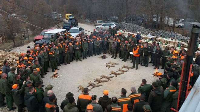 U Grudama uspješno organizirana hajka na lisice okupila više od dvjesto lovaca