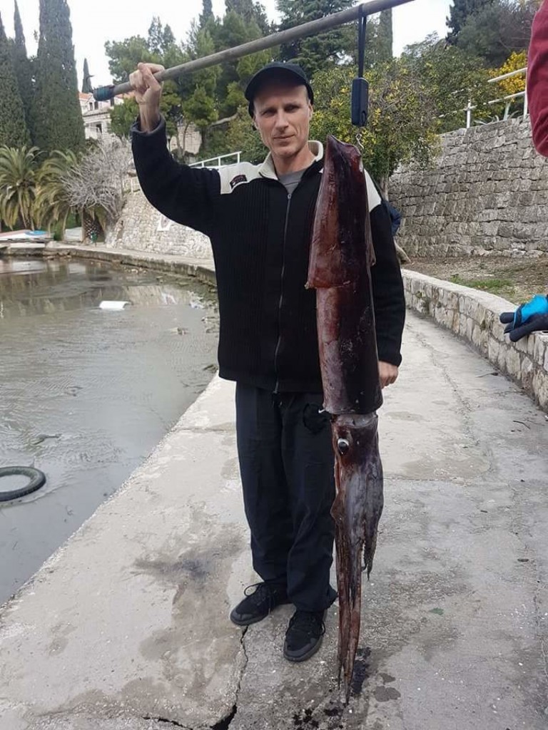 Samo je htio prošetati i baciti smeće: Ribar iz Cavtata dobio bitku s monstruoznim primjerkom iz dubina