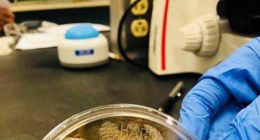 Javnost zgrožena: Ovo se nalazi u sušilima za ruke u javnim WC-im