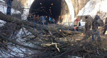 Drama na Ivanu: Htio proći na silu, pa prosvjednici oborili stablo