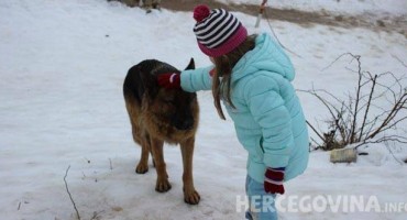 Igra djece i kućnih ljubimaca - samo pod nadzorom