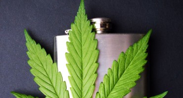 alkohol, marihuana, istraživanje