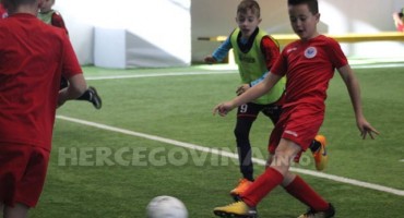 DFA zrinjski bijeli 2009